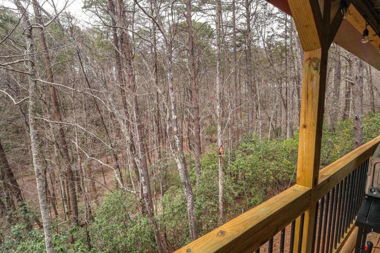 Cozy Bear Cabin #1 Sautee Nacoochee Zewnętrze zdjęcie